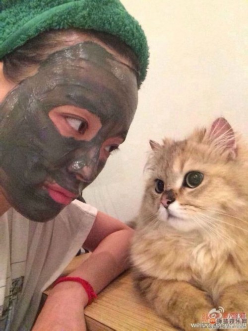 Ҧ���쾹Ҳ������Ů �߸����������ࡰ��Ů��