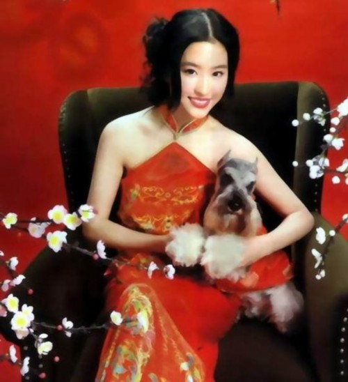 ��ֽ���Ƕ����Ͻ� ���춼������