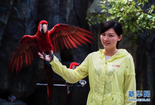 硕士美女爱上当兽医