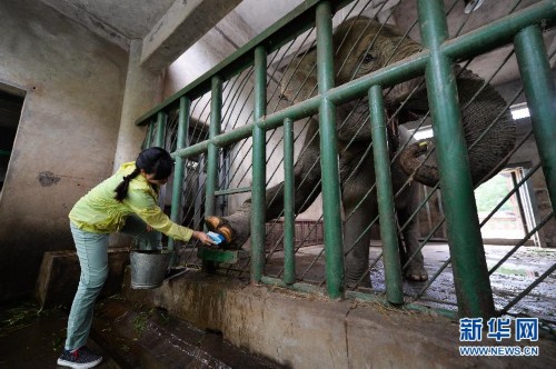 ˶ʿ��Ů���ϵ���ҽ