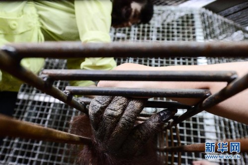 ˶ʿ��Ů���ϵ���ҽ