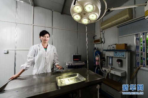 ˶ʿ��Ů���ϵ���ҽ