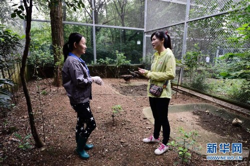 ˶ʿ��Ů���ϵ���ҽ