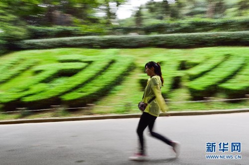 ˶ʿ��Ů���ϵ���ҽ