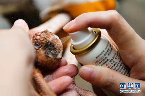 ˶ʿ��Ů���ϵ���ҽ