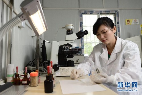 ˶ʿ��Ů���ϵ���ҽ