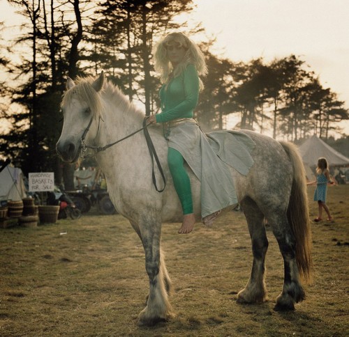 ̽��Ӣ���������������������� ����