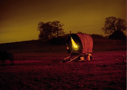 ̽��Ӣ���������������������� ����