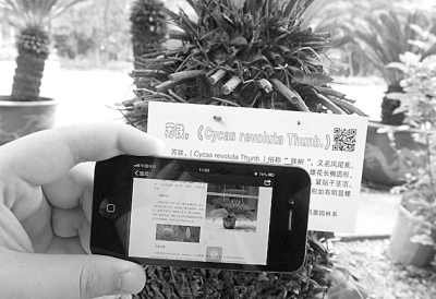 台湾省的身份证图片 W020141022334637547637.jpg