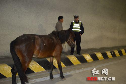 ���������ϸ��� �ơ�����Ȼ��������·��(ͼ)