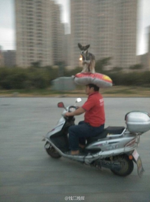 ��Ϫ������΢�����ߺ�