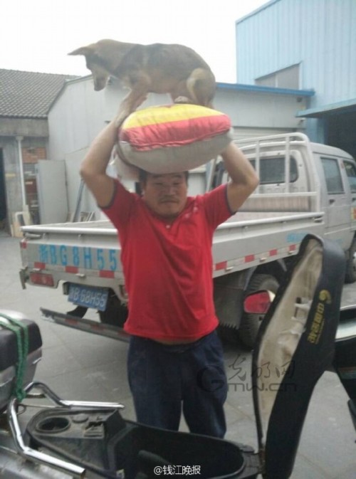 ��Ϫ������΢�����ߺ�