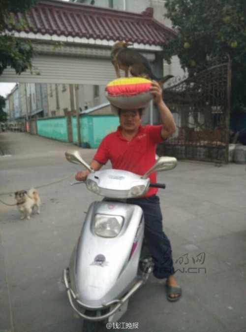 ��Ϫ������΢�����ߺ�