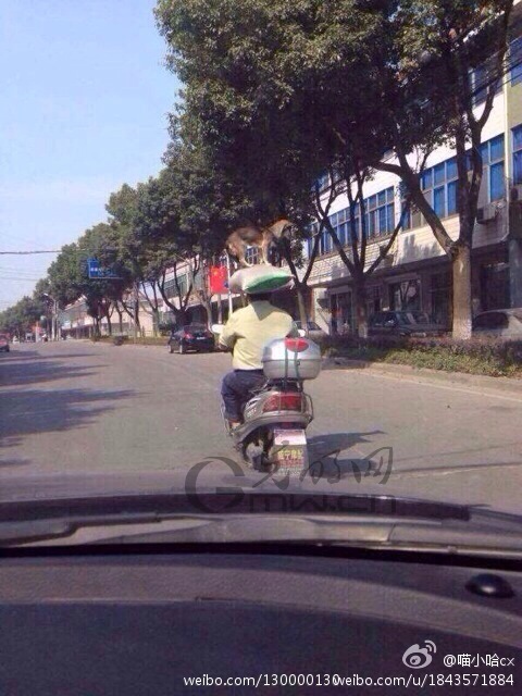 ��Ϫ������΢�����ߺ�