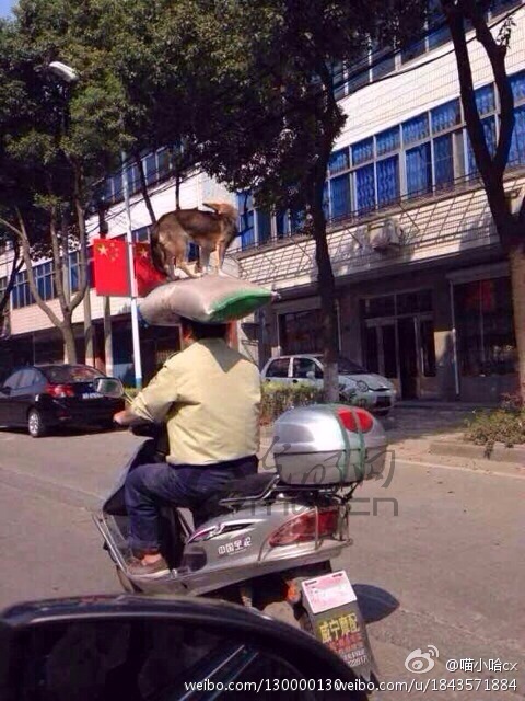 ��Ϫ������΢�����ߺ�