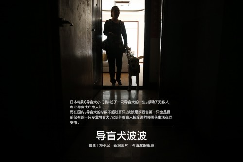 ��äȮ�����������ǡ��۾������Ǿ�������