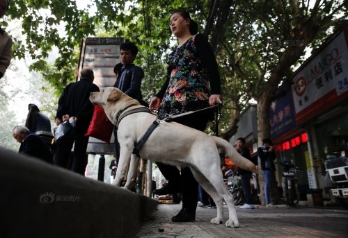 ��äȮ�����������ǡ��۾������Ǿ�������