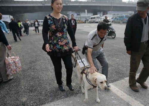 ��äȮ�����������ǡ��۾������Ǿ�������