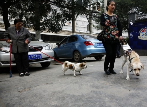 ��äȮ�����������ǡ��۾������Ǿ�������