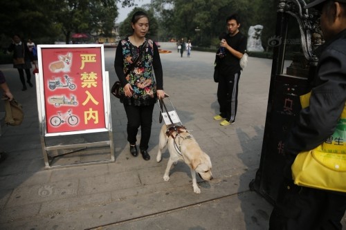 ��äȮ�����������ǡ��۾������Ǿ�������