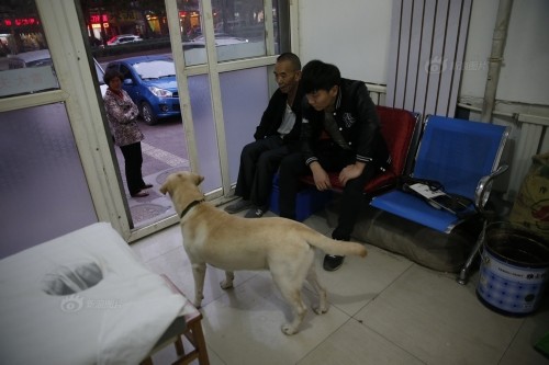 ��äȮ�����������ǡ��۾������Ǿ�������