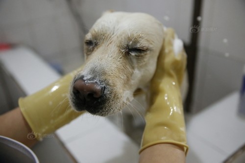 ��äȮ�����������ǡ��۾������Ǿ�������