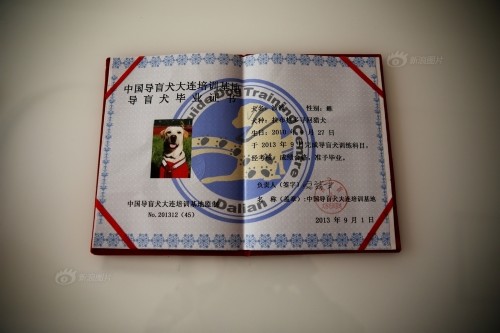 ��äȮ�����������ǡ��۾������Ǿ�������