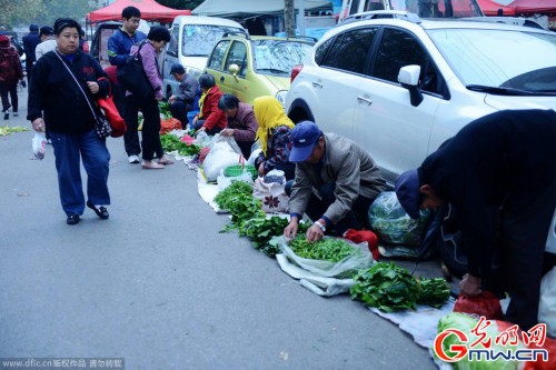 ɽ���ൺ�����˿纣���� �������ӿ���ר��