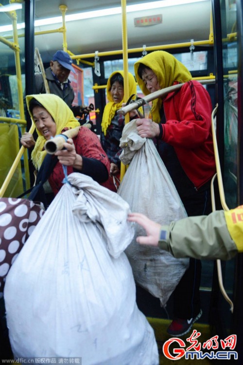 ɽ���ൺ�����˿纣���� �������ӿ���ר��