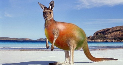 ����������PS���ӽ���������Ƭ