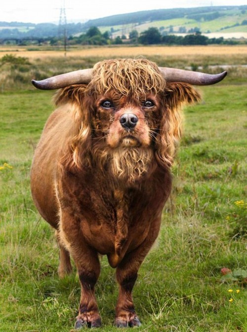 ����������PS���ӽ���������Ƭ