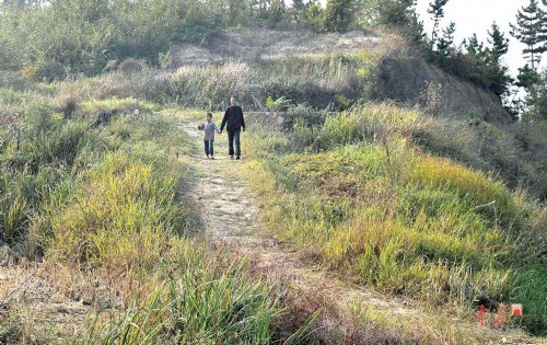 ������ɽ���Ա�֢�к�