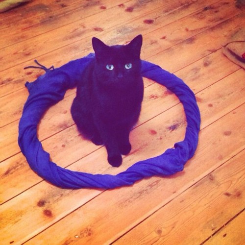 ���Ȧ���� è���Ӱ�ԲȦ��������һ̽����