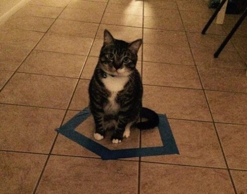 ���Ȧ���� è���Ӱ�ԲȦ��������һ̽����