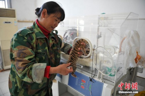 ����Ұ������԰������ֻ���������ȿɰ�