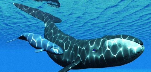 ���������ֶ���