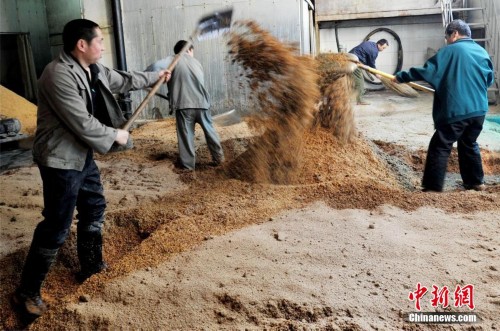 ̽��ɽ���������ֺŴ׷� �´׾ô治��