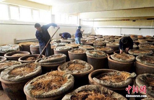 ̽��ɽ���������ֺŴ׷� �´׾ô治��