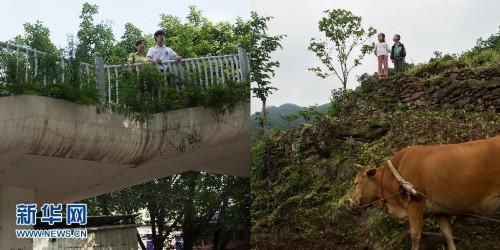 ���ض�ͯ�븸ĸ��������