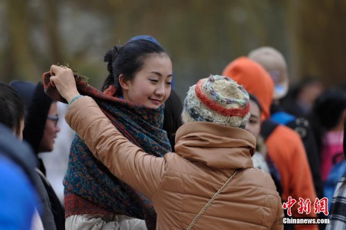 �����տ������������Ŷ�