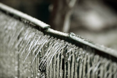 ��ʿ�⡰�������� ����˲����