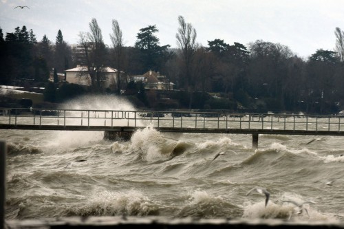 ��ʿ�⡰�������� ����˲����