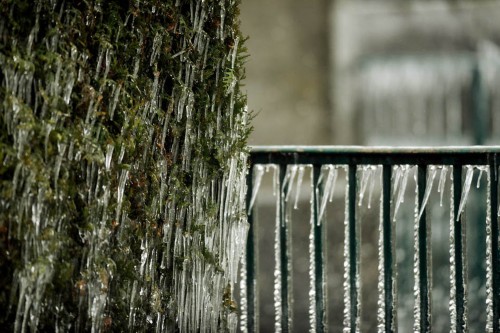 ��ʿ�⡰�������� ����˲����