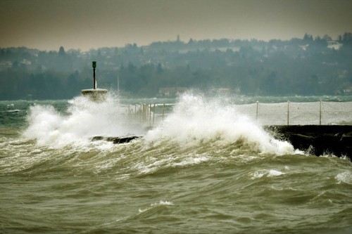 ��ʿ�⡰�������� ����˲����