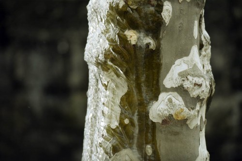 ��ʿ�⡰�������� ����˲����