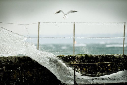 ��ʿ�⡰�������� ����˲����