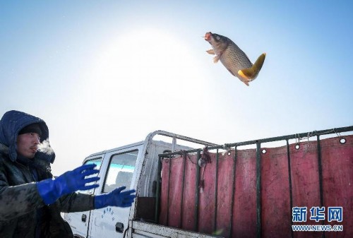 ��ɺ��ġ�������