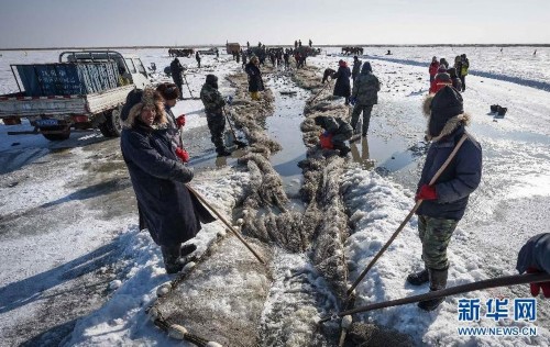 ��ɺ��ġ�������