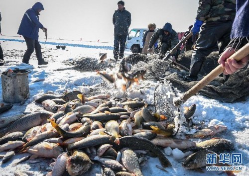 ��ɺ��ġ�������