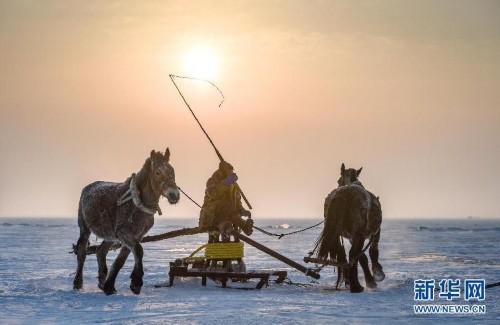 ��ɺ��ġ�������